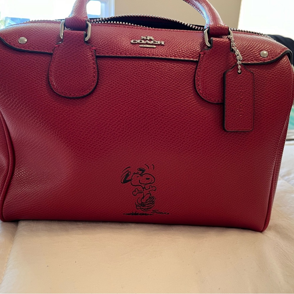 Coach Snoopy bag.